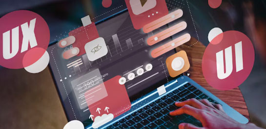 Website Design & Development